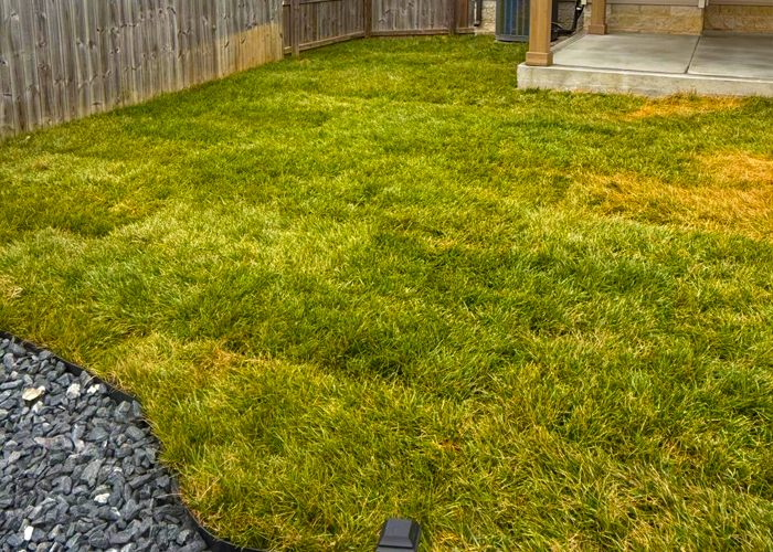 Installation of Natural Grass